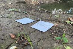 Two small squares of paper on riverbank: river soaked paper with pen lines on them, tracing the waters edge.