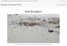 Screenshot of Tide by Ruth Broadbent in the exhibition Ecologies of Drawing: In Situ