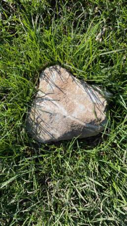 A stone with a single white line across it, surrounded by grass