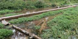 The stream with structures of watercress beds in it