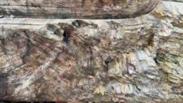 close-up showing log markings