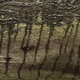 trace marks left from rain lines falling vertically on a small section of the log