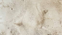 fine grains of river silt scattered across paper