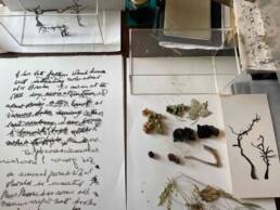 artwork for exhibition being made and selection of finds