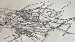 ink on paper, lines of twigs outlined with greyscale ink washes