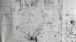 black ink circles,dots, lines, text, marking archaeological areas of site